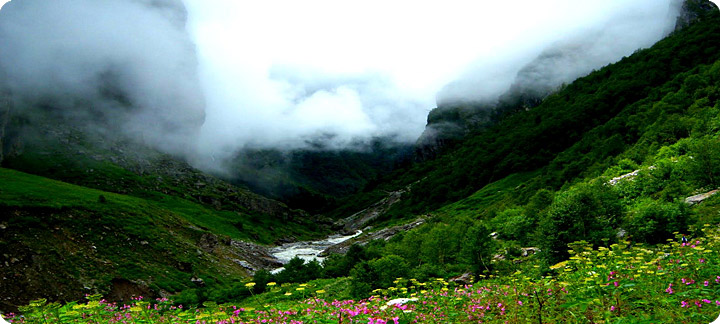 The Valley of Flowers