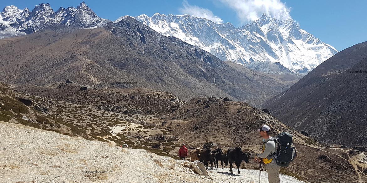 PANGBOCHE – DINGBOCHE (4410 M) 4 hrs trek 