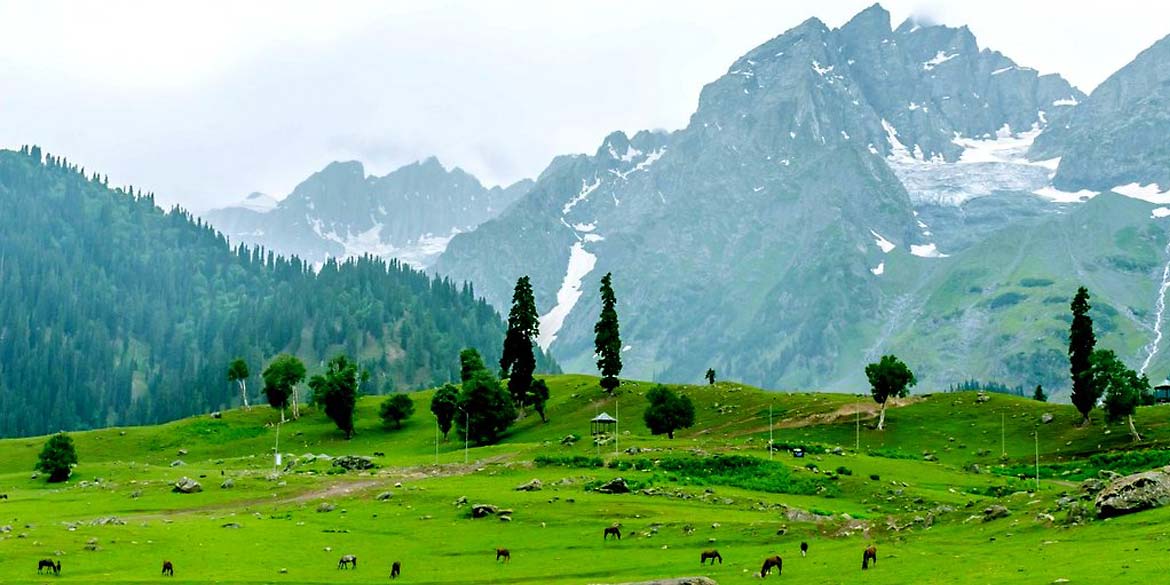 SRINAGAR AIRPORT- SONAMARG (2740 M / 8900 ft) 84 km / 2 ½ hrs drive